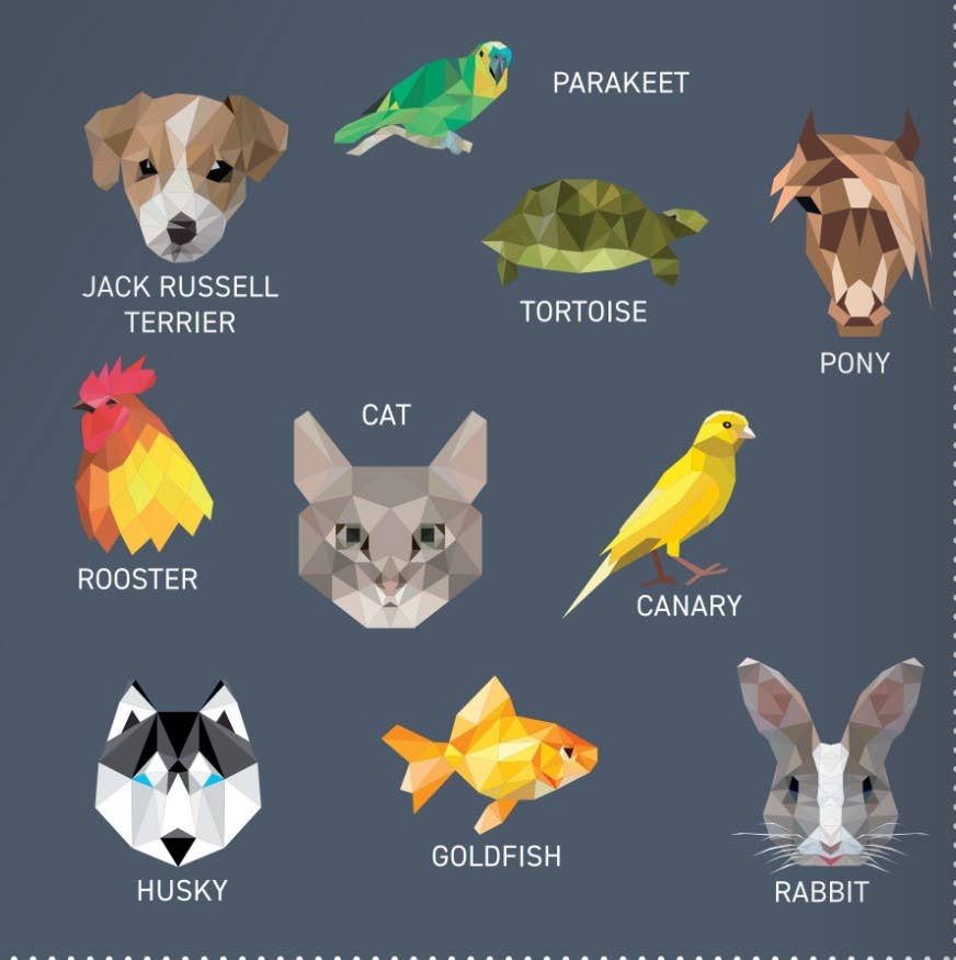 Activity Book - My Sticker Paintings: Pets