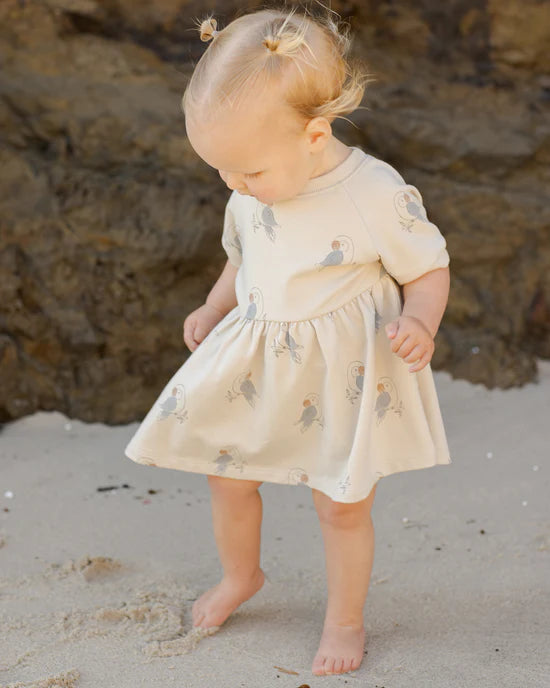 Rylee + Cru Raglan Dress - Parrots