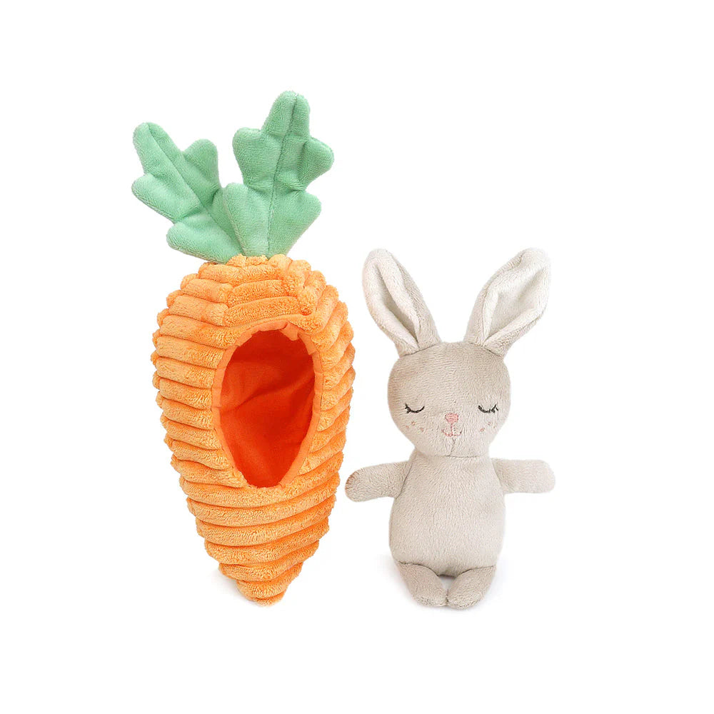 Bunny in Carrot Activity Toy