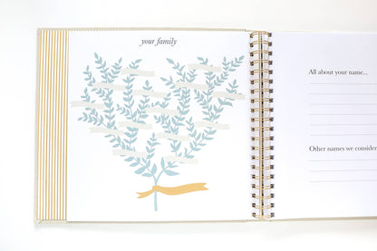 The Baby Memory Book